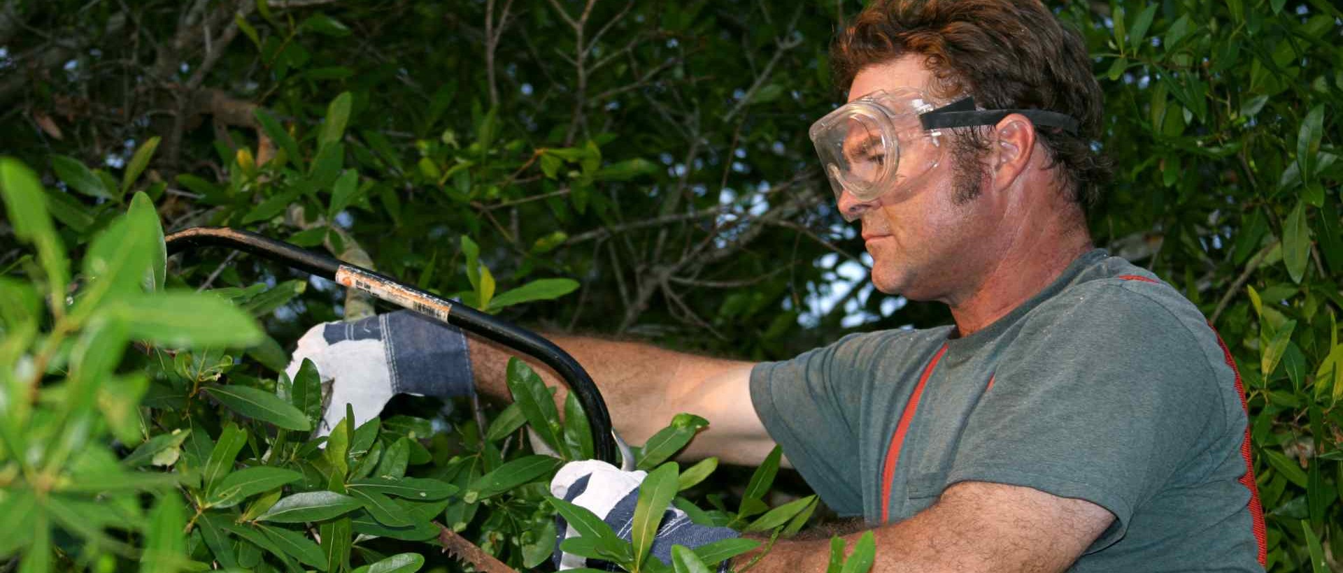 garden clearance WD3