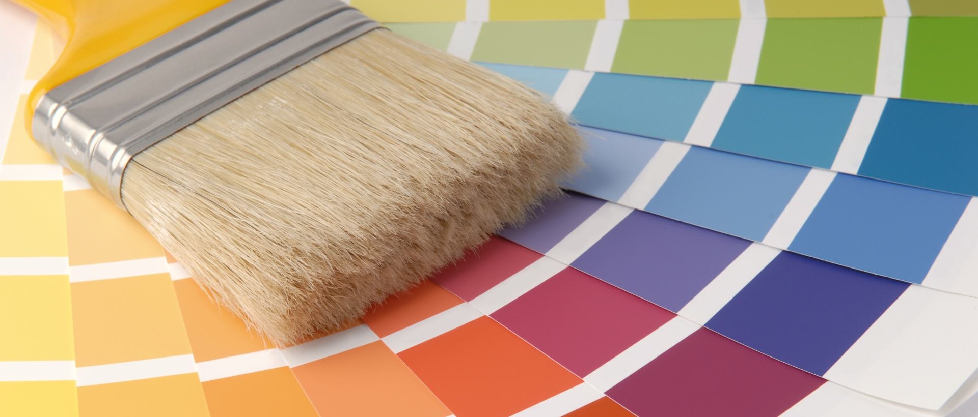 Painter WD3